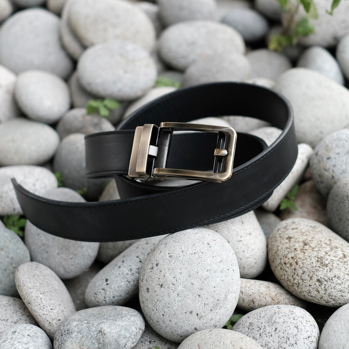 Classic Buckle - Gold